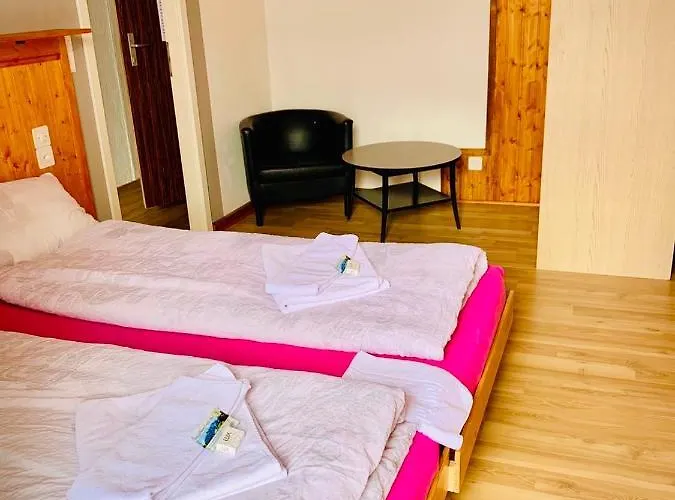 מלון Weisses Roessli לויקרבאד