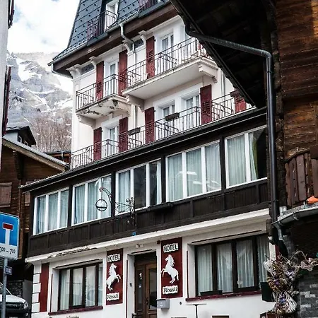 Hotel Weisses Rössli 2*